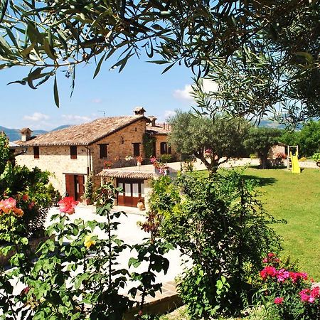 Agriturismo L'Antico Oliveto ซาน เซเวริโน มาร์เค ภายนอก รูปภาพ