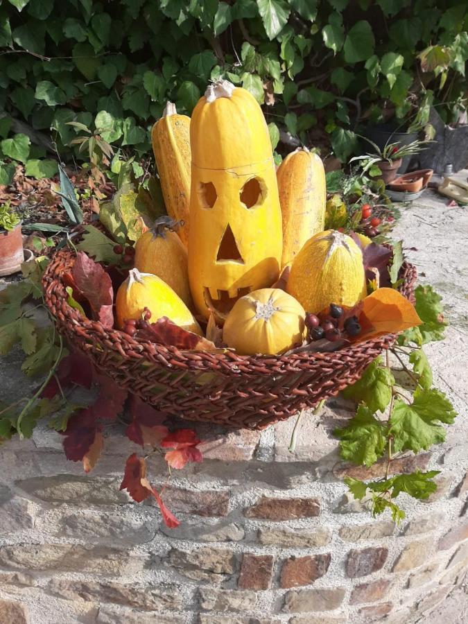 Agriturismo L'Antico Oliveto ซาน เซเวริโน มาร์เค ภายนอก รูปภาพ