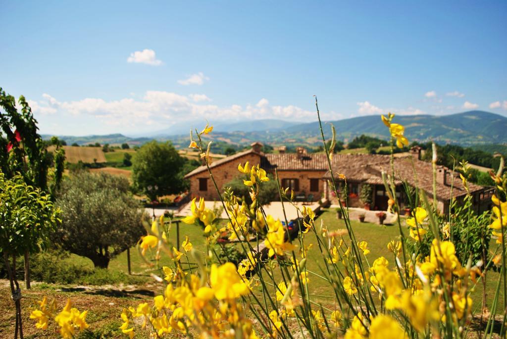 Agriturismo L'Antico Oliveto ซาน เซเวริโน มาร์เค ภายนอก รูปภาพ
